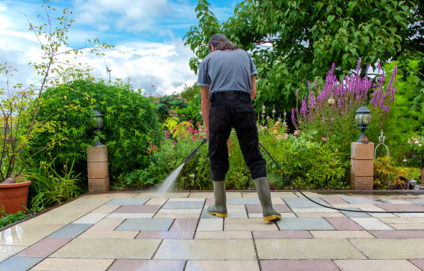 Best Sidewalk and Walkway Cleaning  in Cecil Bishop, PA